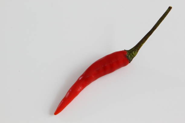 istock Red chili isolated on white background 692590956