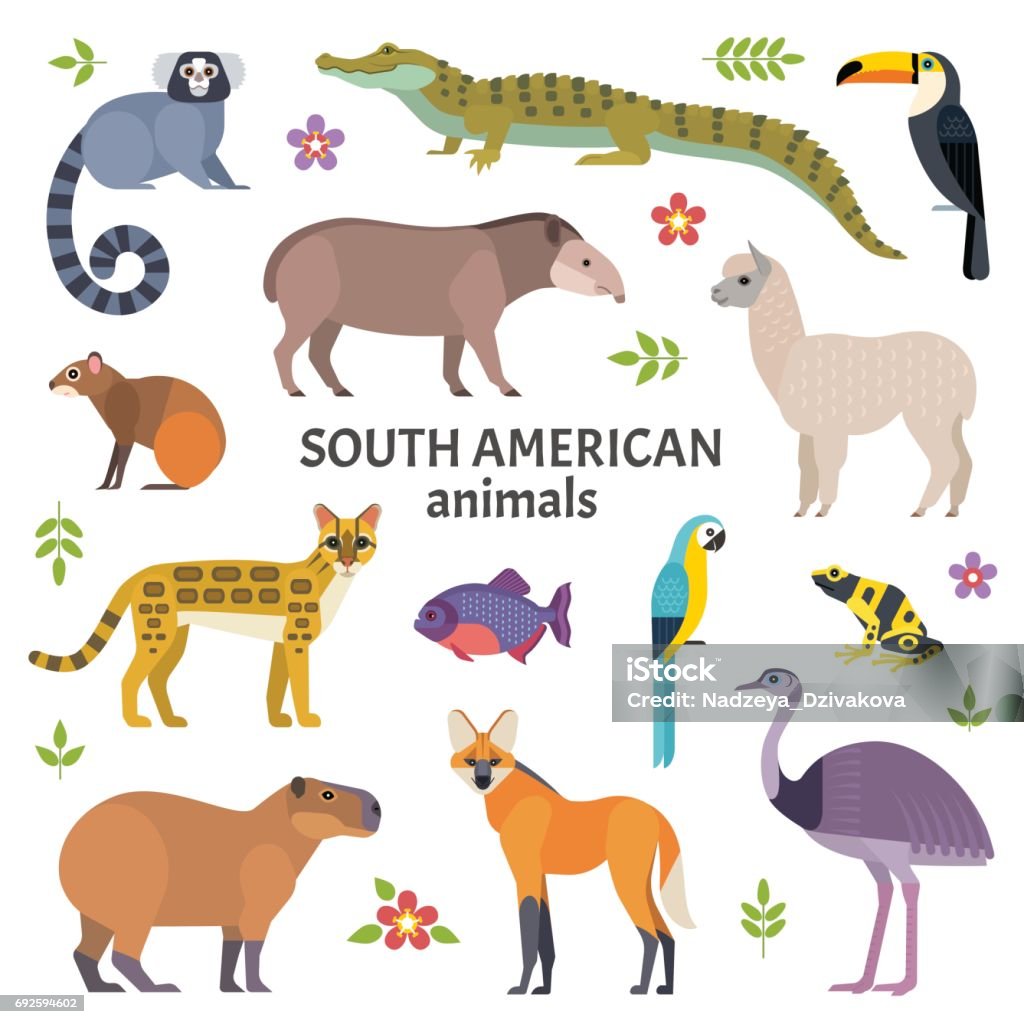 Animaux d’Amérique du Sud. - clipart vectoriel de Faune libre de droits