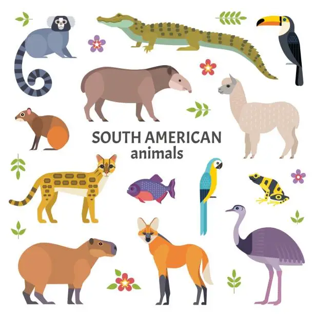 Vector illustration of Animals of South America.