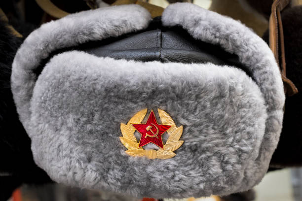 Russian USSR winter fur hat Grey Russian Soviet Red Army USSR winter fur hat called Ushanka former soviet union stock pictures, royalty-free photos & images