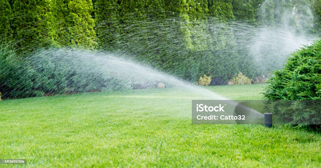 Bewässerung des grünen Grases mit Sprinkleranlage. - Lizenzfrei Hausgarten Stock-Foto