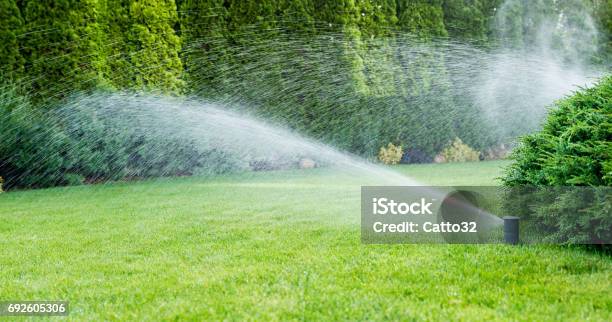 Bewässerung Des Grünen Grases Mit Sprinkleranlage Stockfoto und mehr Bilder von Hausgarten - Hausgarten, Bewässerungsanlage, Sprinkler