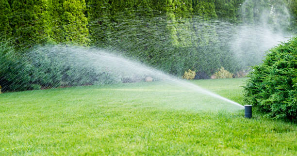 irrigation du gazon vert avec système d’arrosage. - tuyau darrosage photos et images de collection