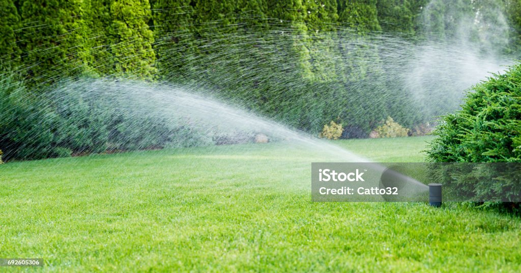 Irrigation of the green grass with sprinkler system. Sprinkler Stock Photo