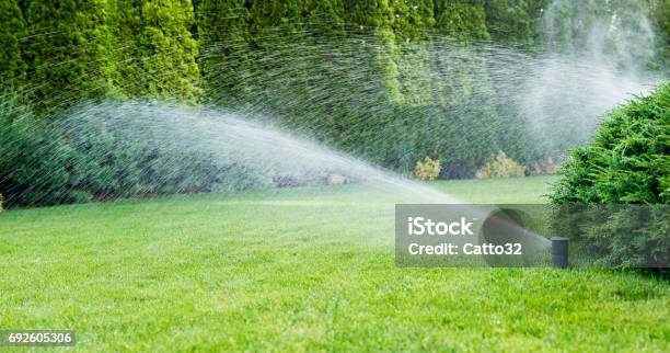 Irrigation Of The Green Grass With Sprinkler System Stock Photo - Download Image Now