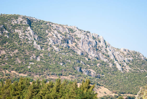 istock Mountain with plants, sunny day 692618362