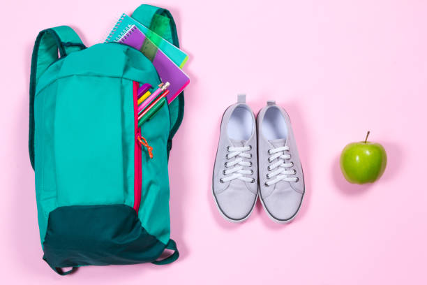 istock Backpack with school stationery on pink background 692619000