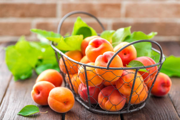 istock Fresh apricots with leaves in basket on wooden table 692619106