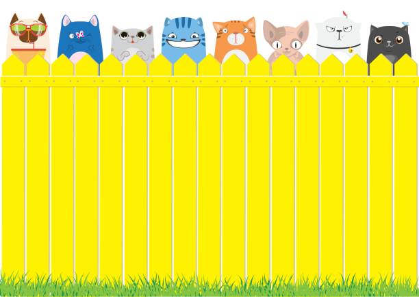 istock Cartoon cats on the yellow fence. Cute pets background. 692619226