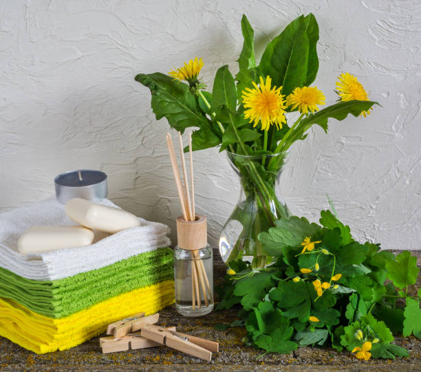 istock Flowers celandine, spa 692619332