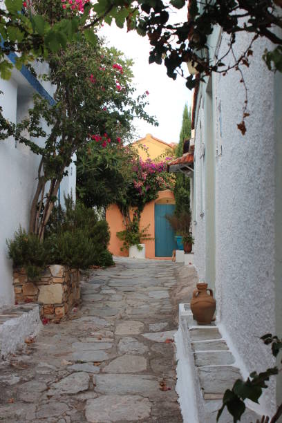 istock Alonissos island 692622612
