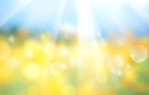 Landscape blue yellow nature blurred background.Panorama field sunshine view.Ukranian flag abstract wallpaper.Summer design blossom meadow backdrop.