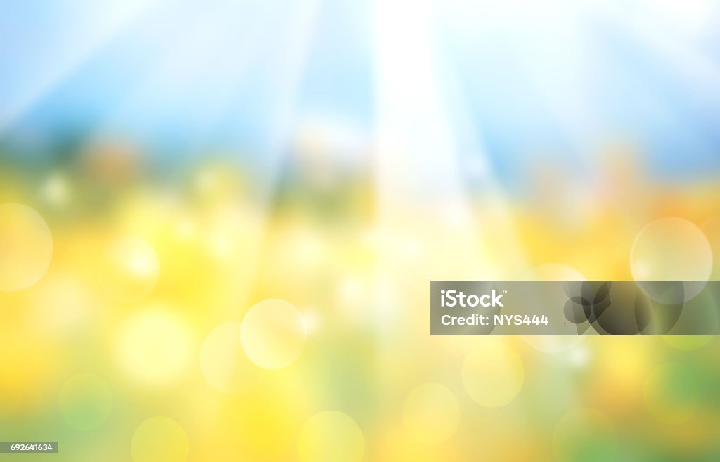 Landscape horizontal blurred field banner. Landscape blue yellow nature blurred background.Panorama field sunshine view.Ukranian flag abstract wallpaper.Summer design blossom meadow backdrop. Backgrounds Stock Photo