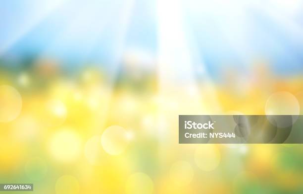 Landscape Horizontal Blurred Field Banner Stock Photo - Download Image Now - Backgrounds, Summer, Springtime