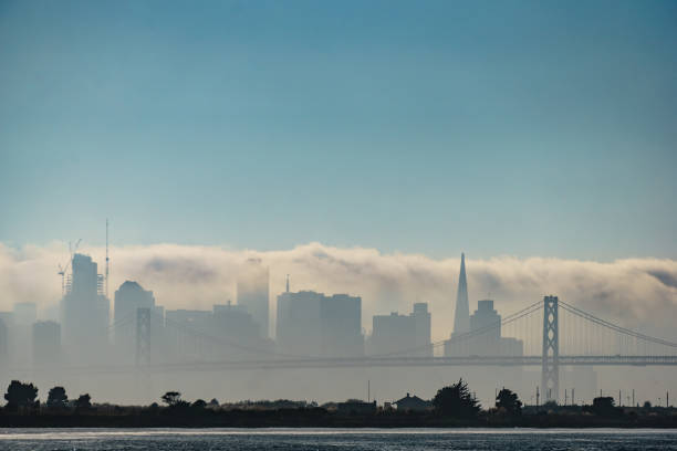 istock Fog Shrouding the San Francisco Skyline. 692642916