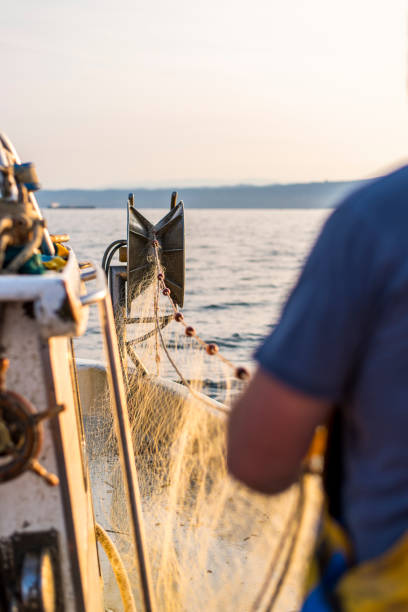 istock Fishing in the morning 692651062