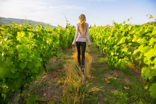 istock Young woman with blond dreadlocks having fun in the vineyard. 692651184