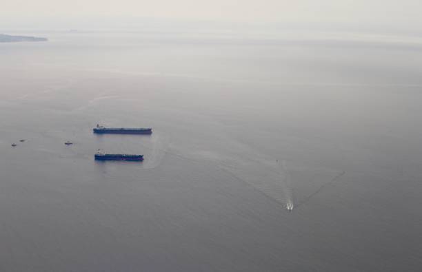 istock Off the coast of Playa del Rey 692651410