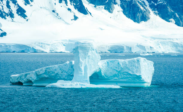 istock Icebergs floating in Paradise Bay in Antarctica 692654454