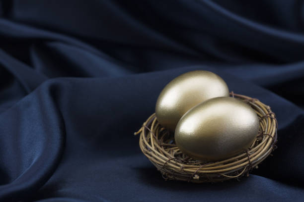 Two gold eggs in nest on black satin background stock photo