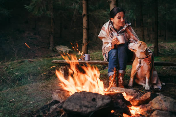 donna e cane beagle caldi vicino al falò - friendship camping night campfire foto e immagini stock