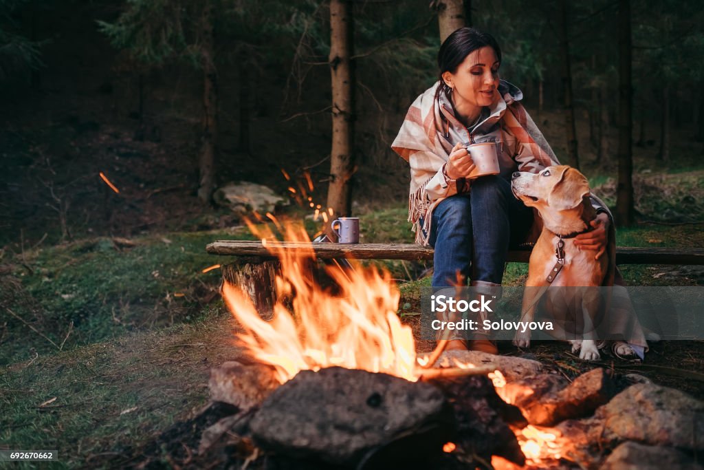Woman and beagle dog warm near the campfire Camping Stock Photo