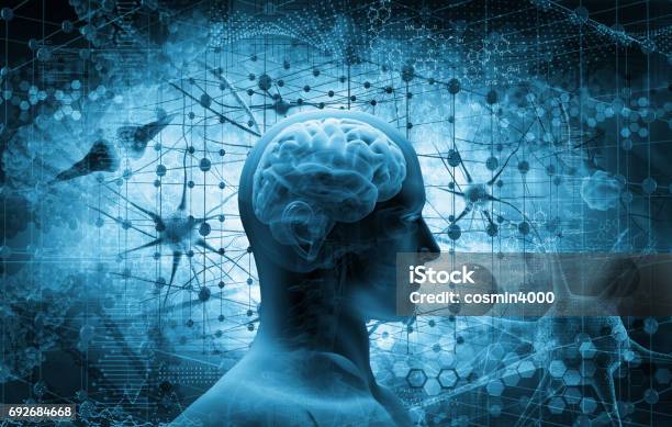 Cervello Concetto Di Pensiero - Fotografie stock e altre immagini di Cervello umano - Cervello umano, Il corpo umano, Sistema nervoso