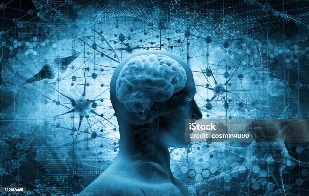 brain, thinking concept Human Brain Stock Photo