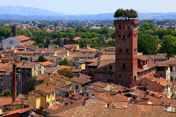 Aerial view of Lucca medieval cityscape, buildings old town, panorama from above, Tuscany, Italy Aerial view of Lucca medieval cityscape, buildings old town, panorama from above, Tuscany, Italy lucca italy stock pictures, royalty-free photos & images
