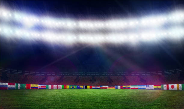 istock Football pitch with world cup flags 692688098