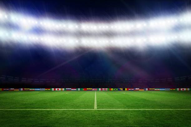 istock Football pitch with world cup flags 692688126