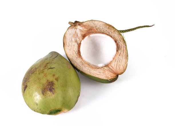 istock Green coconut isolated on white background 692690298