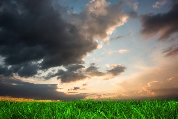 istock Green grass under blue and orange sky 692702320