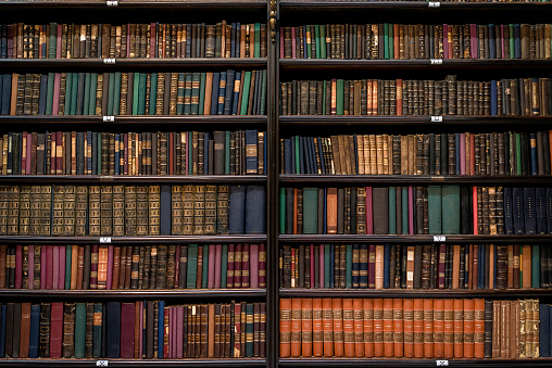 Interior of a large modern library with bookshelves.