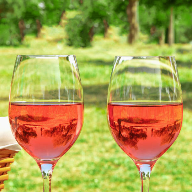 istock Two glasses of rose wine at picnic with copyspace 692707848