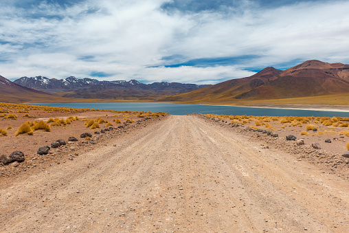 On the road to the Miscanti Lagoon at high altitude near the Atacama desert in San Pedro de Atacama, north Chile.