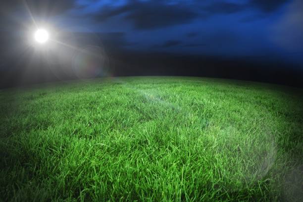 istock Football pitch under night sky 692717524