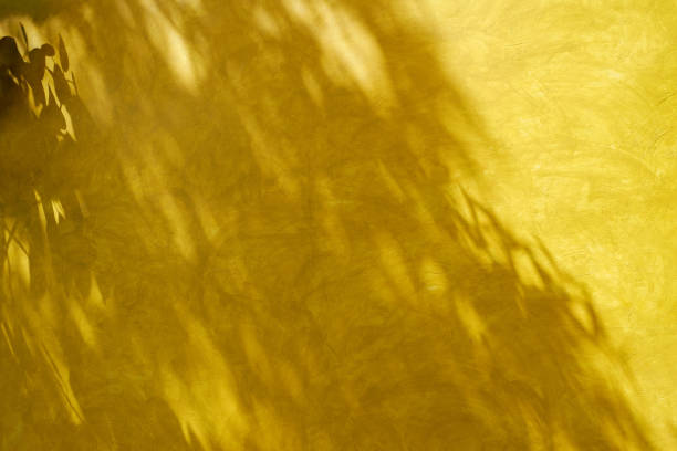 istock Shadow of leaves on retro style yellow wall 692717728