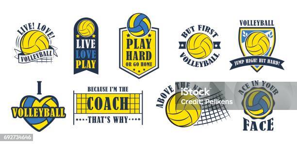 Volleyball Icon Set Vector Illustration Stock Illustration - Download Image Now - Volleyball - Sport, Volleyball - Ball, Logo