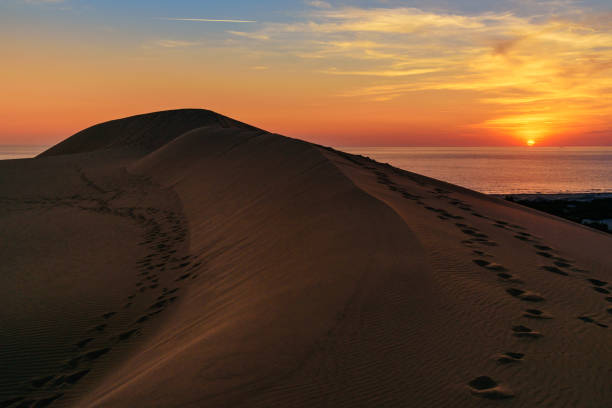 istock Sand dunes on Patara beach at sunset. Turkey 692739360
