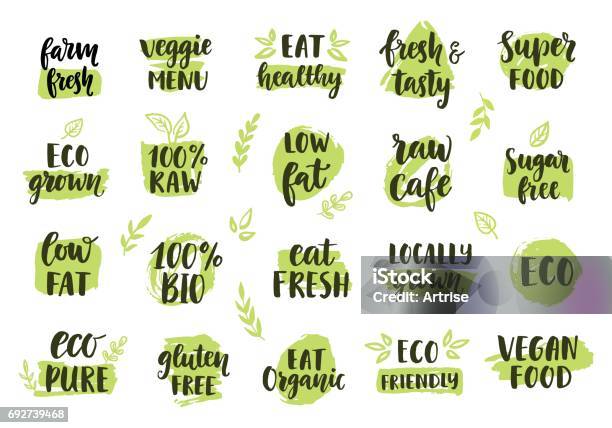 Bio Öko Bio Icons Set Stock Vektor Art und mehr Bilder von Gesunde Ernährung - Gesunde Ernährung, Text - Schriftsymbol, Umweltschutz