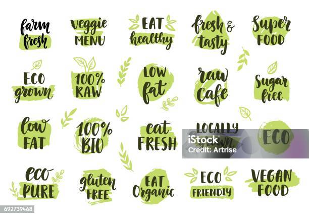 Bio Eco Organic Icons Set Stock Illustration - Download Image Now - Healthy Eating, Environmental Conservation, Text