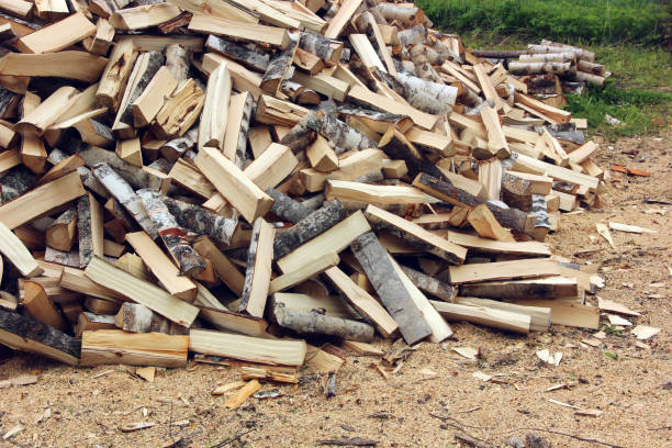 istock pile of logs on the grass, chopped by an axe. 692739692