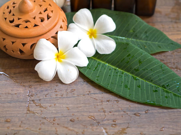 istock Spa treatment and massage, Thailand, soft and select focus 692740026
