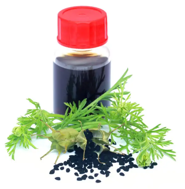 Nigella leaves with seeds and essential oil in a bottle over white background