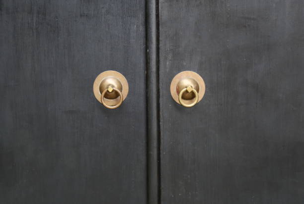 istock knocker and  wood door 692743868