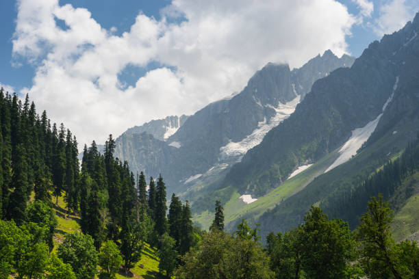 Beautiful landscape of Sonamarg in summer, Srinagar, Jammu Kashmir, India Beautiful landscape of Sonamarg in summer, Srinagar, Jammu Kashmir, India, Asia jammu and kashmir photos stock pictures, royalty-free photos & images
