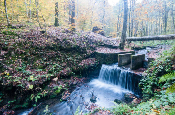 istock Flowing river in autumn in forest 692772606