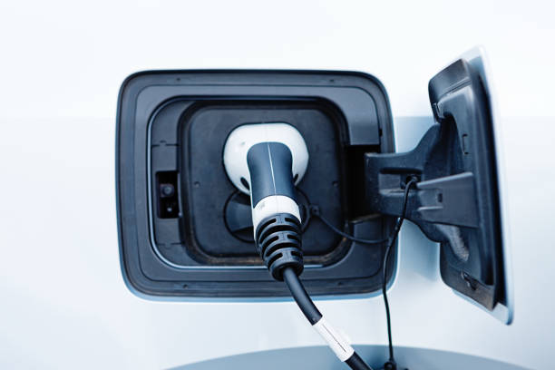 istock Charging socket of electric car, cable plugged in and charging 692772836