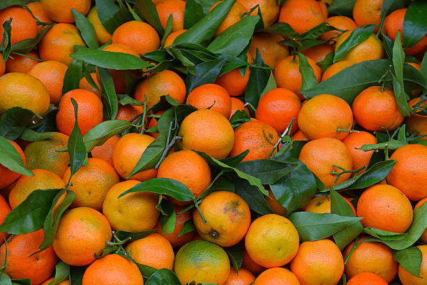 istock Full Frame Shot Of Oranges 692779273